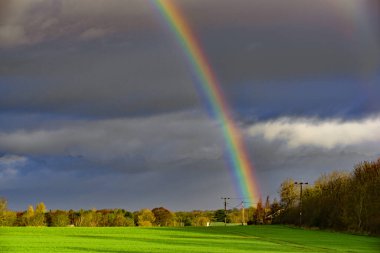 Absolute perfect timing for a rainbow, on the 1st of January, 2023.  clipart