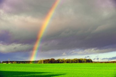 1 Ocak 2023 'te gökkuşağı için mükemmel bir zamanlama.. 