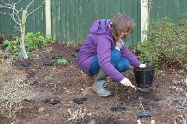 Planting bulbs in plantpots buried in clay soil helps prevent them from rotting.  The technique also aid future lifting, splitting and reduces the impact of weeds.