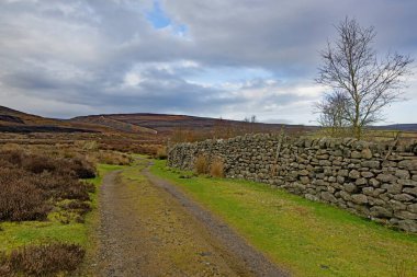 Simon's Seat is a wonderfully remote place in the Yorkshire Dales National Park, ideal for finding peace and tranquility.