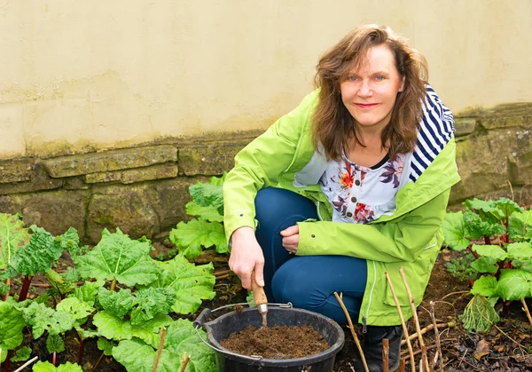 stock image March is an excellent time for using homemade compost to mulch and feed the rhubarb and raspberries.