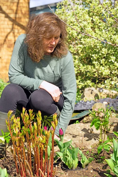 Gardening is one of the best pass times for mindfulness and overall well being. Ponds, peonies and tulips become the fascinations that come to life, alongside light sunshine, offered by spring time.
