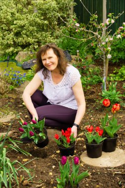 Laleler saksılara ekilir ve daha sonra toprağa yerleştirilir (hala saksıda duruyorken) daha sonra renkleri ve şekilleri daha iyi eşleştirmek için hareket ettirilebilir..