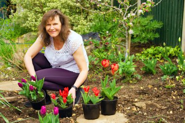 Laleler saksılara ekilir ve daha sonra toprağa yerleştirilir (hala saksıda duruyorken) daha sonra renkleri ve şekilleri daha iyi eşleştirmek için hareket ettirilebilir..