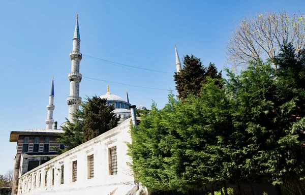 Blue Mosque Tourist Mecca World Heritage Site Alongside Hagia Sophia — Stock Photo, Image