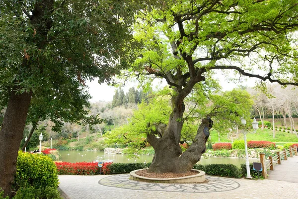 Yildiz Park Ist Ein Historischer Stadtpark Stadtteil Besiktas Und Einer Stockfoto