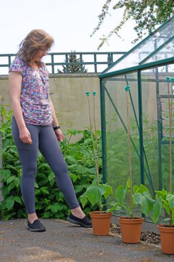 Cumumber ve kabak gibi ev yapımı ürünleri yetiştirmek Mayıs ayındaki ruh sağlığı ve fiziksel sağlığınız için harikadır..