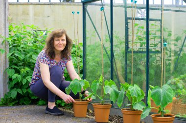 Cumumber ve kabak gibi ev yapımı ürünleri yetiştirmek Mayıs ayındaki ruh sağlığı ve fiziksel sağlığınız için harikadır..