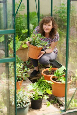 Tohum ve kesimlerden ev yapımı bitkiler yetiştirmek Mayıs ayındaki ruh ve beden sağlığınız için fevkalade bir şeydir..