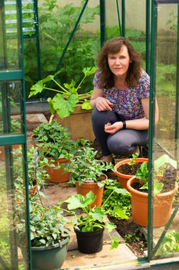 Tohum ve kesimlerden ev yapımı bitkiler yetiştirmek Mayıs ayındaki ruh ve beden sağlığınız için fevkalade bir şeydir..