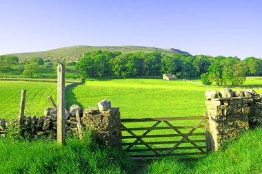 Fields, Wendsleydale 'deki Hardraw' a giriş yolunda. Hardraw, Bellow Hill 'in her iki yakasında, içinden geçen ana yol olan yerleşim yerleri, yazlık evler, bir ranza evi, bir çay dükkanı ve bir pub' a sahip taştan yapılmış bir köy..