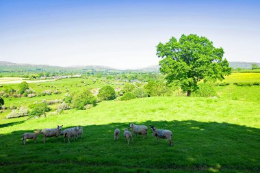 Lonsdale 'deki Burton ikonik Yorkshire Dales manzaralarıyla dolu. Yorkshire 'daki ilk ve son köy olarak bilinir..
