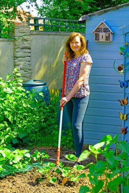 Olgun ve sağlıklı esmer bir bayanın Haziran 'da sebze bahçesinde çilek bitkilerinin etrafında çapaladığını hayal ediyorum..