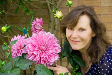 Leylak Mükemmelliği, bir yemek tabağı sergisi çeşididir. İnsan yüzü kadar büyük bir çiçek. Fevkalade güzeller..