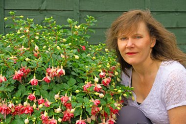 Kit Oxtoby, pembe ve leylak desenli çiçekli, geniş, çiçekli ve verimli bir çift fuşya çiçeğidir..