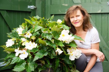 Begonyalılar tek bir çekirdekten muazzam sayıda harika çiçekler sağlar. Renkleri, zengin yeşil yapraklarıyla harika bir tezat oluşturuyor..