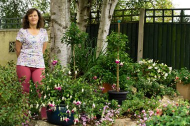 Mavi serap fuşyalar farklı ölçülerde ve çalılıklarda eğitilebilir..