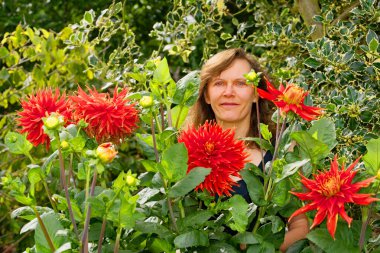 Kırmızı ateş tabağı yıldız çiçekleri yetişkin insan kafası kadar büyür ve akabinde görülmesi inanılmaz bir manzaradır..