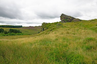 Staffordshire 'daki Three Shires yakınlarındaki Kara Orman doğa koruma alanı harika manzaralar, yürüyüşler ve vahşi yaşamı izleme fırsatları barındırıyor..