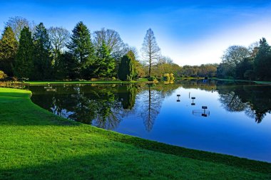 Burnby Hall Gardens, Polkington, York, İngiltere, 16 Aralık 2023 Cumartesi.