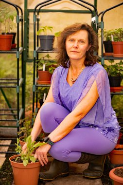 Çekici ve olgun bir esmer yılın en yoğun büyüme döneminde aktif ve mutlu kalır..