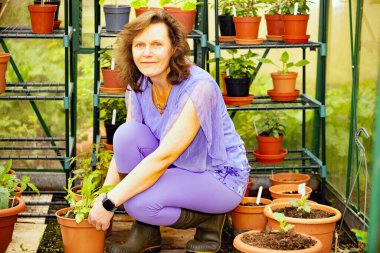 Çekici ve olgun bir esmer yılın en yoğun büyüme döneminde aktif ve mutlu kalır..