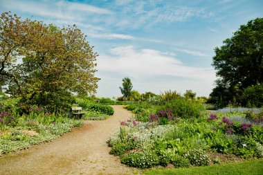 Beth Chatto bahçeleri, Colchester, Essex 'te, 11 Mayıs 2024 Cumartesi günü gerçekleşen bir sükunet abidesi..