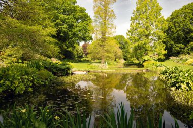Beth Chatto bahçeleri, Colchester, Essex 'te, 11 Mayıs 2024 Cumartesi günü gerçekleşen bir sükunet abidesi..