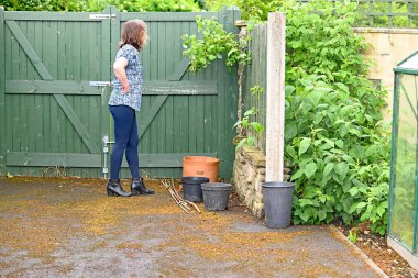 Mutlu ve çekici bir kadın bahçıvan Mayıs ayı sonunda ahududu çiçeği ve tozlaşma kontrolü yapıyor..