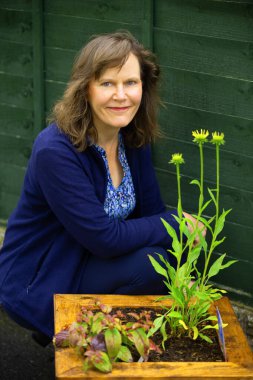 Güzel, yetişkin bir kadın bahçıvanın portresi, ahşap bir ekicinin yanında, fuşya ve ekinezya içerir..
