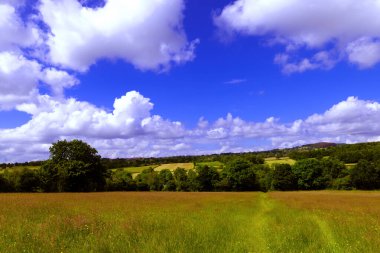 İngiltere, Derbyshire 'daki Ogston Hall ve Stretton' a doğru uzanan, çiçekli bir çayırdan geçen bir patika..