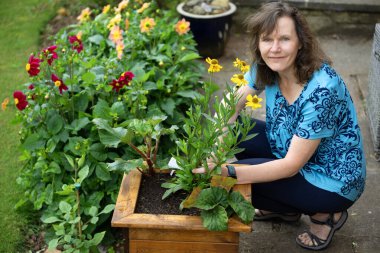Temmuz 'da Doncaster' da sağlıklı ve gelişen bir helenyum ve yıldız çiçeği seti yanında olgun ve mutlu bir esmer kadın yakalamak..