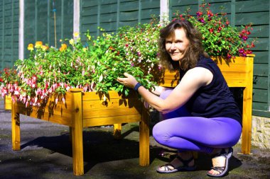 Capturing a beautiful and happy brunette lady, beside a collection of Southern Belle fuchsias, that are starting to come into flower. clipart