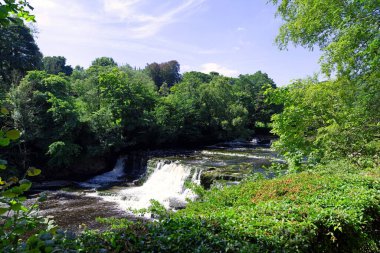 Aysgarth Falls is in the heart of the Yorkshire Dales National Park. clipart