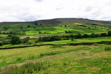 Reeth, Kuzey Yorkshire 'da, Temmuz 2024' te kırsal bir ütopik ahlak anlayışı yakaladı..