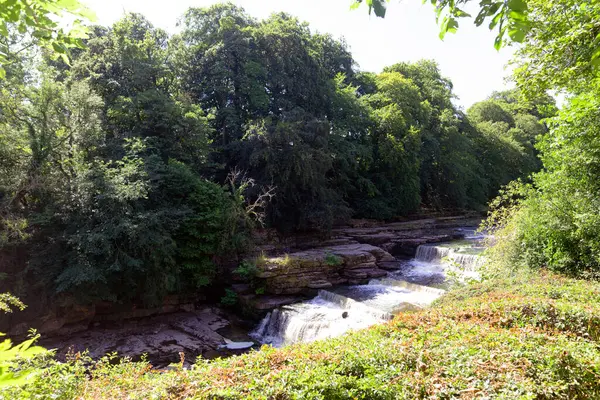 stock image Aysgarth Falls is in the heart of the Yorkshire Dales National Park.