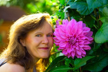 Capturing an attractive brunette lady, smiling beside an excellent specimen pink delight dahlia flower, in early morning August sunshine. clipart