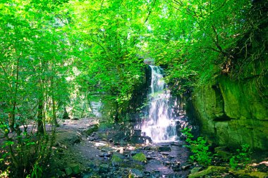 Harmby Şelalesi, Harmby 'de, Leyburn yakınlarındaki Yorkshire Dales' deki bir dizi konut arasında bulunan gizli bir mücevherdir.. 
