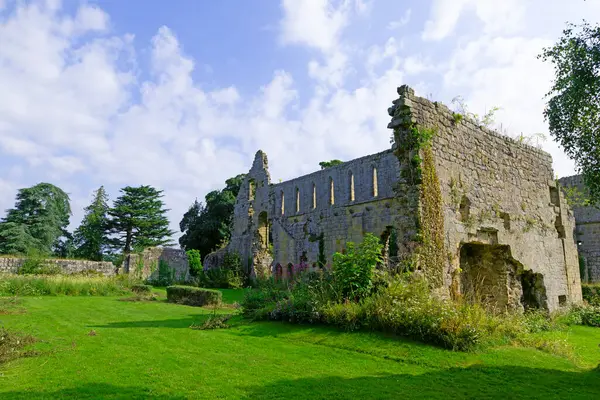 Stock image Capturing an ambient early morning sunglow on Jervaulx Abbey, in July, 2024.