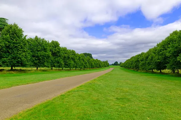 stock image The exit road from Beningbrough Hall is impressive and well kept, in Beningbrough, York, North Yorkshire, England, on Monday, 5th, August, 2024.