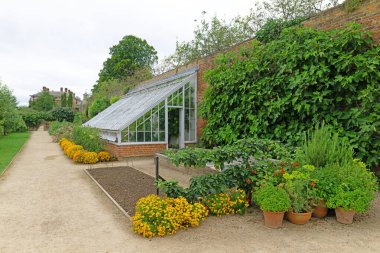 Beningbrough Hall 'un duvarlı bahçeleri, 5 Ağustos 2024 Pazartesi günü Beningbrough, York, Kuzey Yorkshire, İngiltere' de yetenekli gönüllüler tarafından korunan bir bahçecilik mükemmelliği simgesidir..