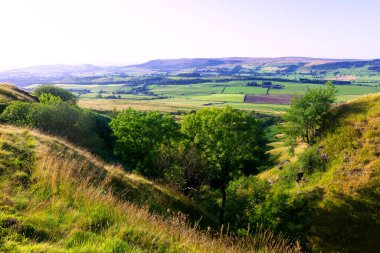 Draughton Heights, Skipton ve Keighley 'deki kırsal dalların muhteşem manzarasını sağlayan, mor fundalarla ve Noel çam ağaçlarıyla dolu fundalıklar arasında harika bir patika içerir..