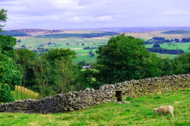 Draughton Heights, Skipton ve Keighley 'deki kırsal dalların muhteşem manzarasını sağlayan, mor fundalarla ve Noel çam ağaçlarıyla dolu fundalıklar arasında harika bir patika içerir..