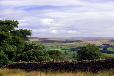 Draughton Heights, Skipton ve Keighley 'deki kırsal dalların muhteşem manzarasını sağlayan, mor fundalarla ve Noel çam ağaçlarıyla dolu fundalıklar arasında harika bir patika içerir..