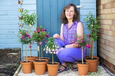 Sergilenen tüm standartlar Nisan ve Mayıs 2024 'te çekilen kesimlerden büyüdü. Resim, 2024 Eylül ayının ortalarında çiçeklendiklerini gösteriyor..