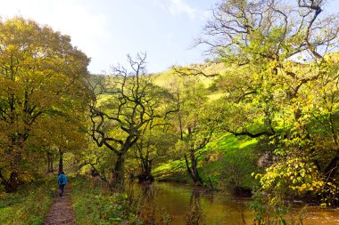 Alstonefield, Derbyshire 'da Milldale, Dovedale, Tissington Trail ve Wetton' a kolayca erişimi olan mükemmel çeşitlilikte ve açık bir İngiliz kırsalına sahiptir..