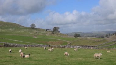 Alstonefield, Derbyshire 'da Milldale, Dovedale, Tissington Trail ve Wetton' a kolayca erişimi olan mükemmel çeşitlilikte ve açık bir İngiliz kırsalına sahiptir..
