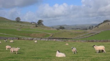 Alstonefield, Derbyshire 'da Milldale, Dovedale, Tissington Trail ve Wetton' a kolayca erişimi olan mükemmel çeşitlilikte ve açık bir İngiliz kırsalına sahiptir..
