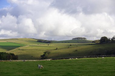 Alstonefield, Derbyshire 'da Milldale, Dovedale, Tissington Trail ve Wetton' a kolayca erişimi olan mükemmel çeşitlilikte ve açık bir İngiliz kırsalına sahiptir..