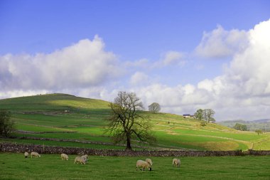 Alstonefield, Derbyshire 'da Milldale, Dovedale, Tissington Trail ve Wetton' a kolayca erişimi olan mükemmel çeşitlilikte ve açık bir İngiliz kırsalına sahiptir..